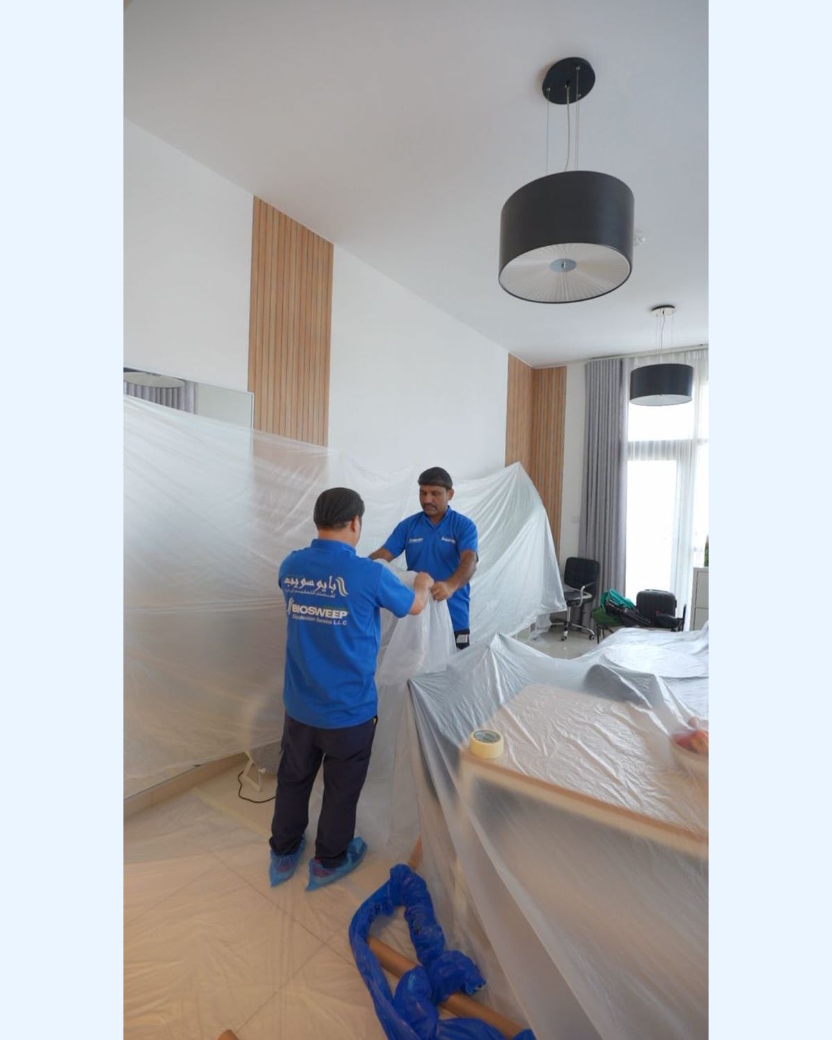 Expert Mold Removal and Remediation Service